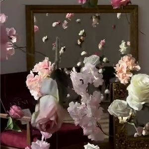 Meet your Posher, Jovana